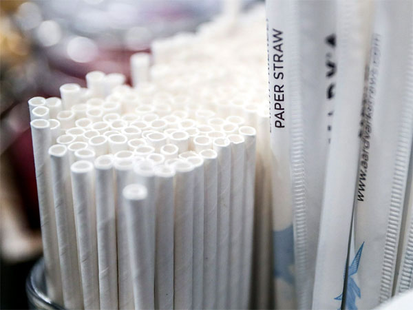  Sử dụng ống hút giấy đang được đánh giá là giải pháp để giảm lượng lớn rác thải nhựa