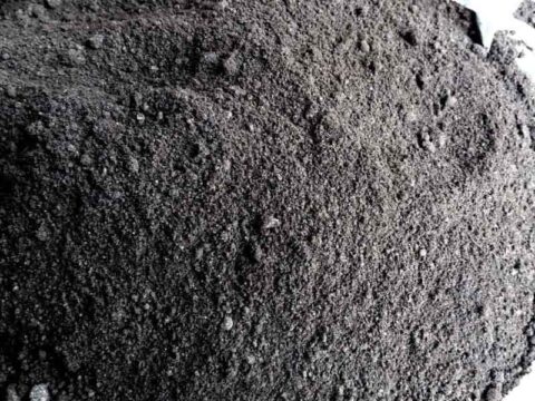 6 Bước quan trọng để tối ưu chi phí dựa trên giá than bùn 2026 6 Bước quan trọng để tối ưu chi phí dựa trên giá than bùn 2026