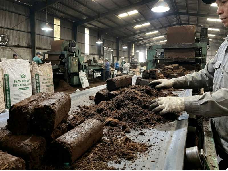 Than bùn có thể ứng dụng trong sản xuất phân bón nông nghiệp