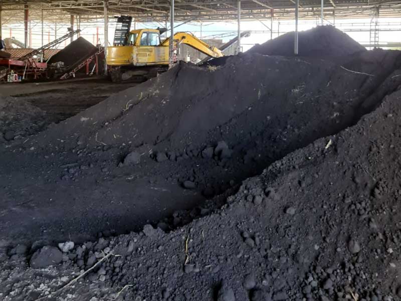 Than bùn có nhiều ứng dụng trong thực tế